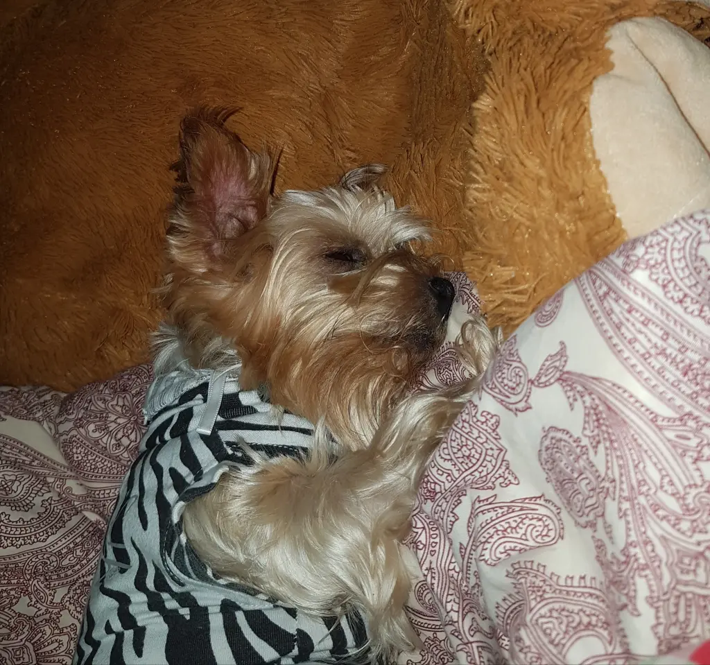 Image from Candy