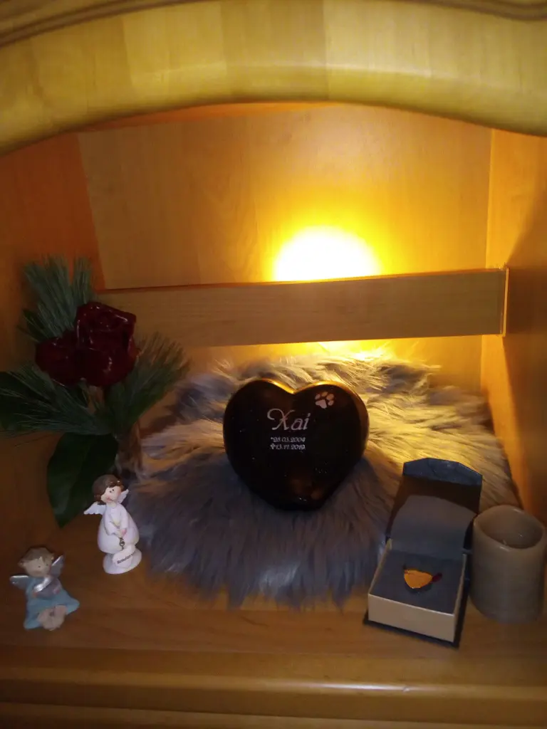 Condolence image of Karin