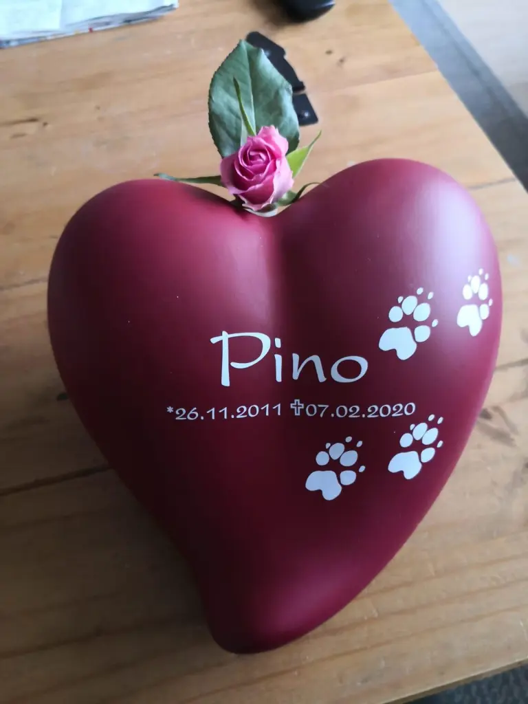 Image from Pepper