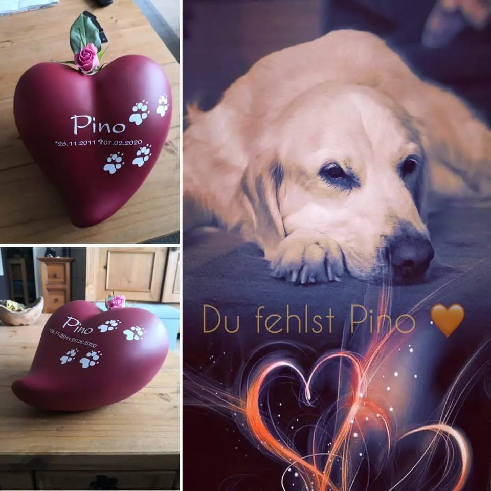 Image from Pepper