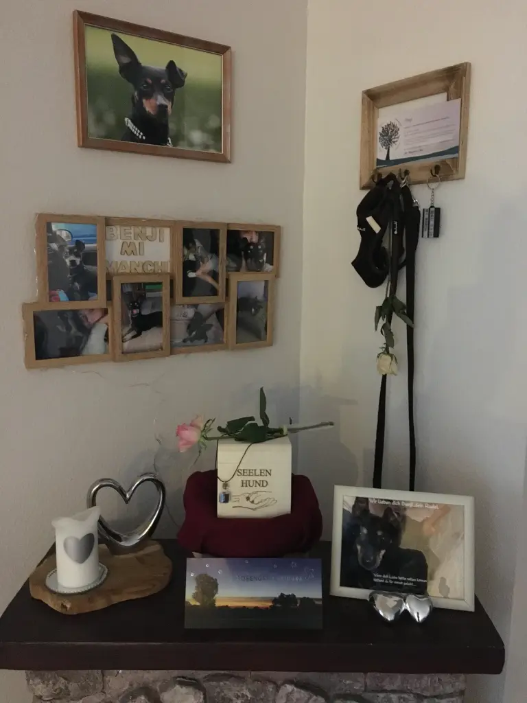 Condolence image of Sabine