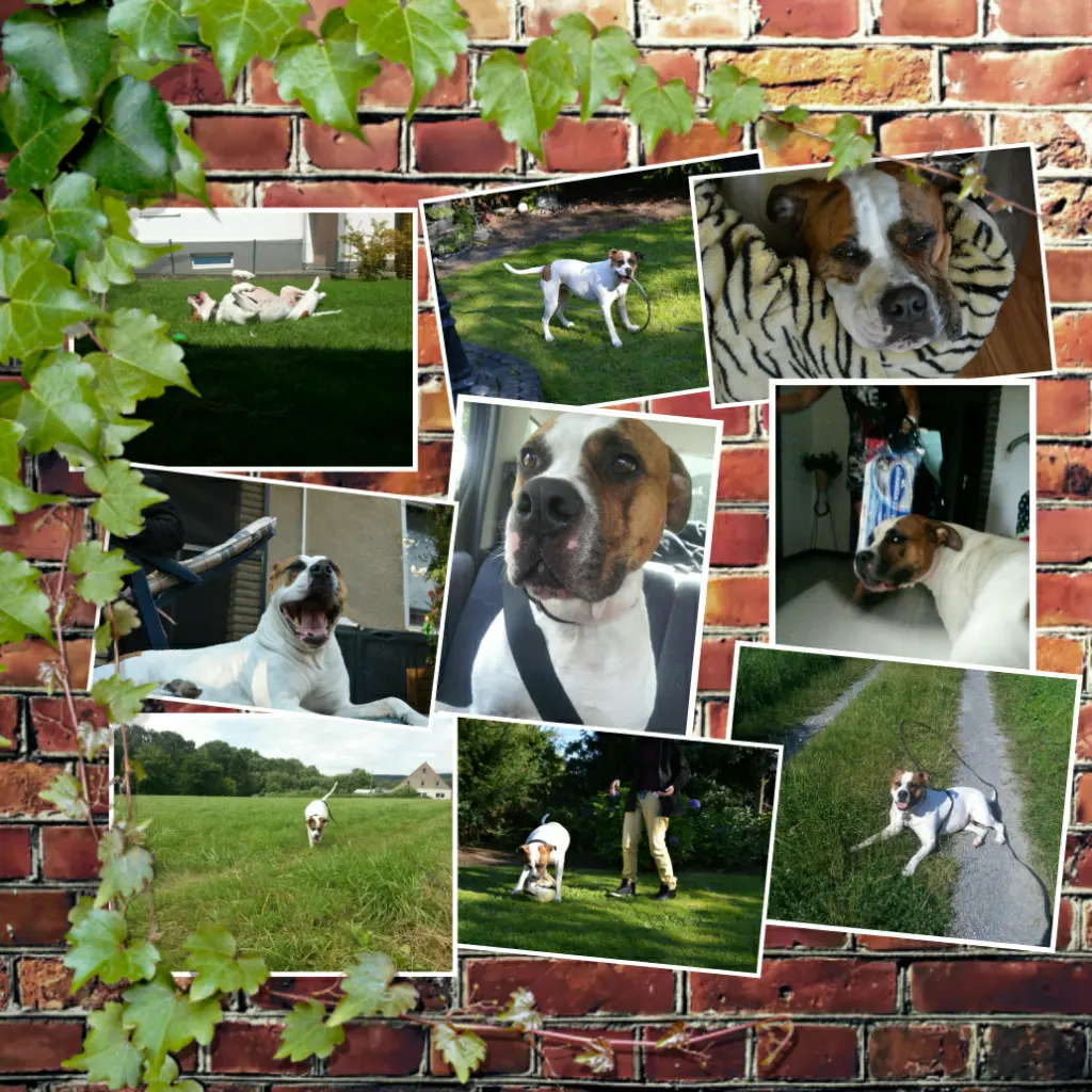 Image from Leny
