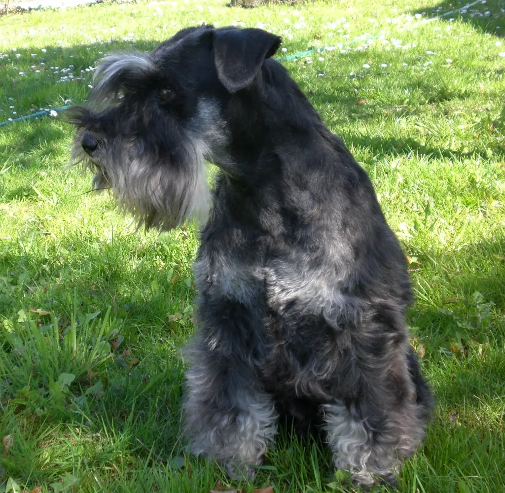 Andachtsbild von martina