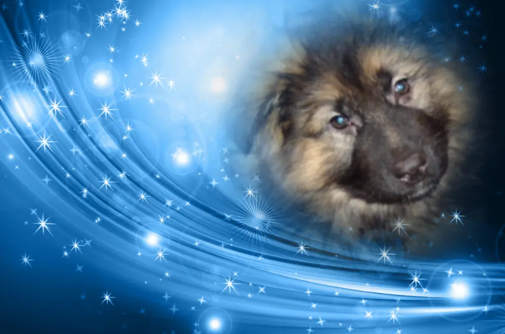 Condolence image of Birgit