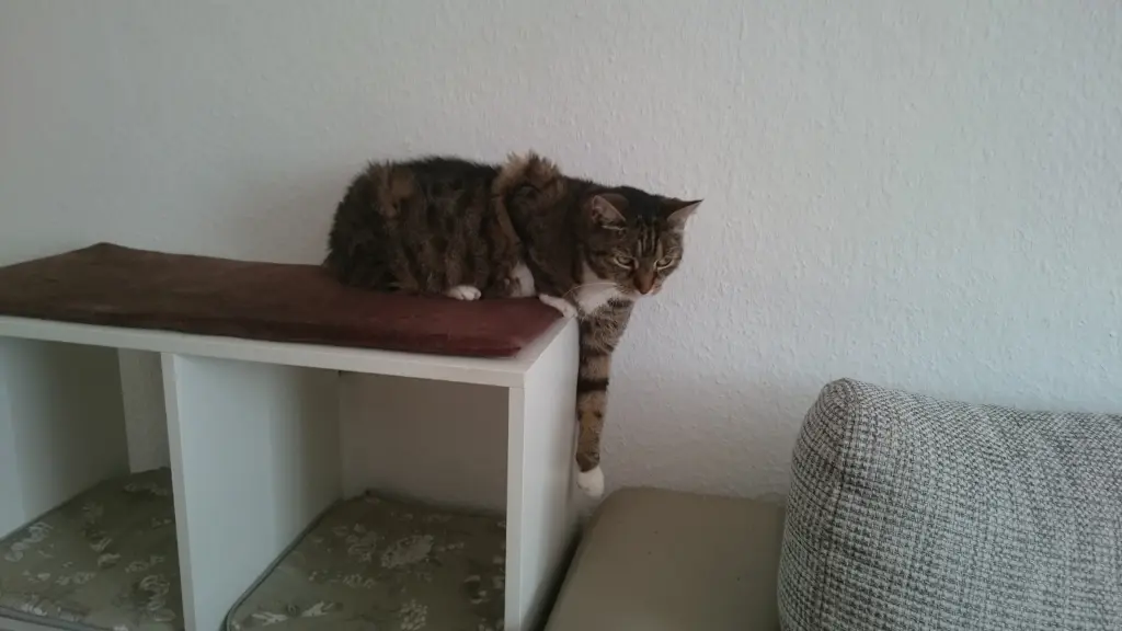 Image from Tigger