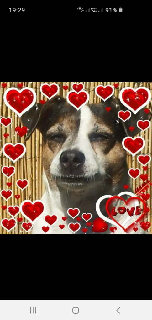 Image from Jessi