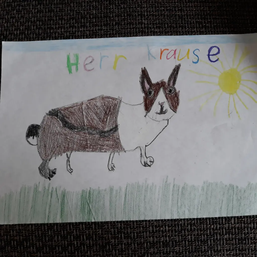 Image from Herr Krause