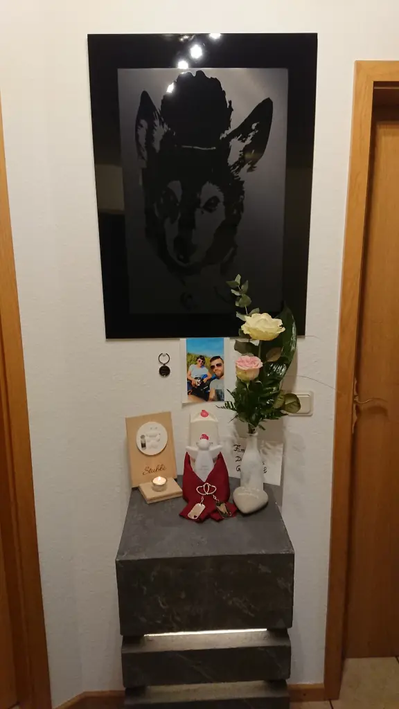 Image from Stubbi
