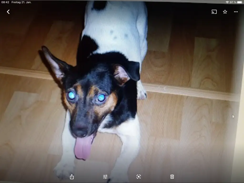 Condolence image of Für Jimmy Boy