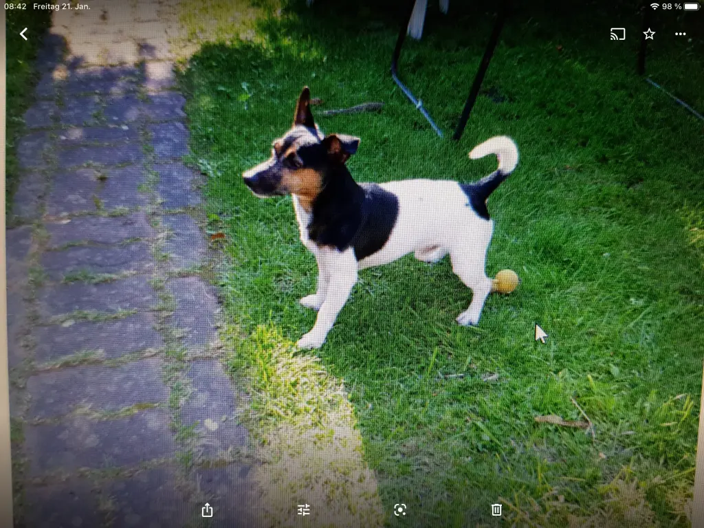 Condolence image of Für Jimmy Boy ❤️❤️❤️