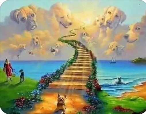 Condolence image of Für Jimmy Boy ❤️❤️❤️