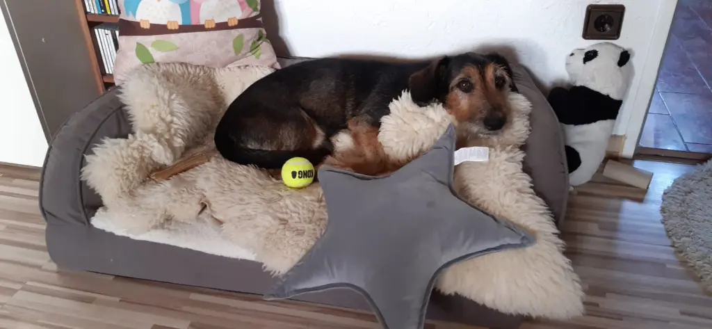 Andachtsbild von Nicky, Christian, Leo, Oma, Lilly und Manolo