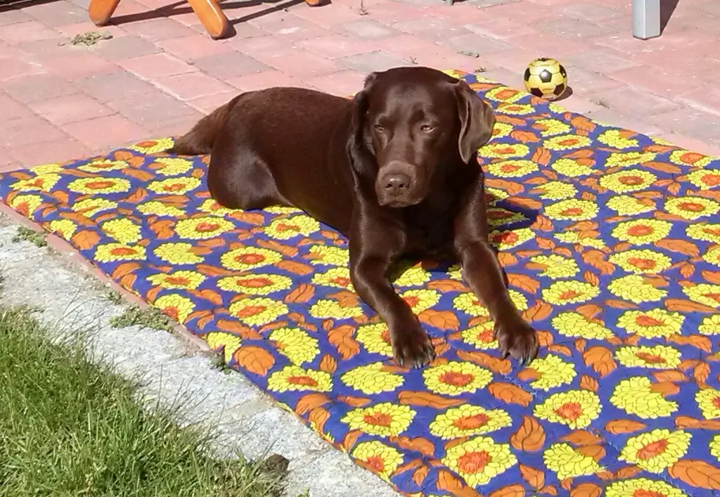 Andachtsbild von Unbekannt