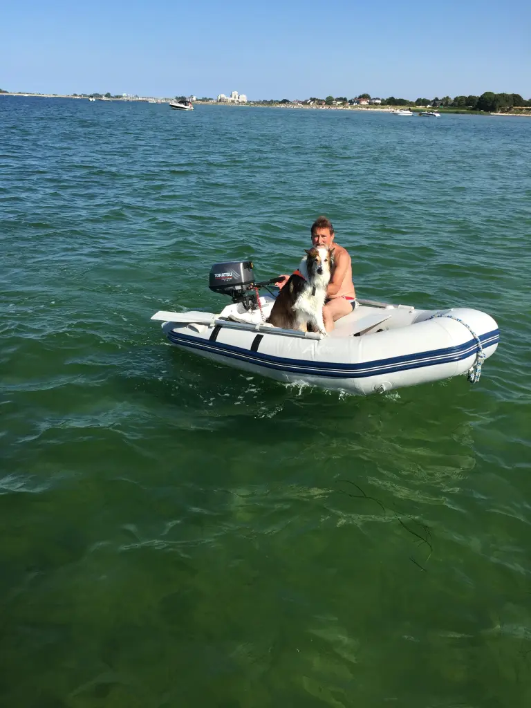 Image from Barnie
