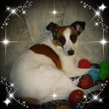 Condolence image of Renate