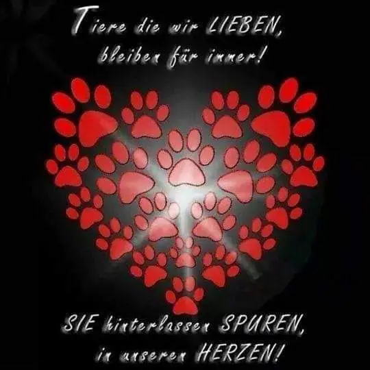 Condolence image of Iris