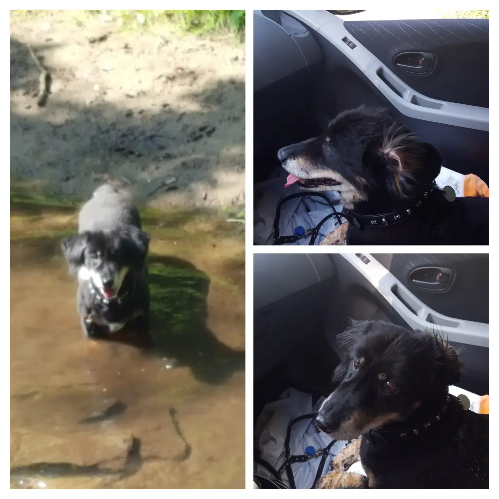 Andachtsbild von Cornelia