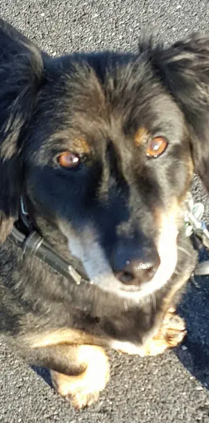 Andachtsbild von Cornelia Tebbe