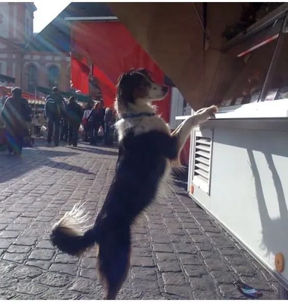 Andachtsbild von Sabine Zeipert