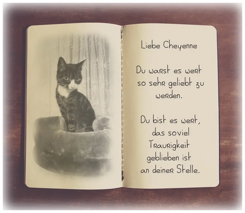 Condolence image of Sabine mit Kaspar tief im Herzen