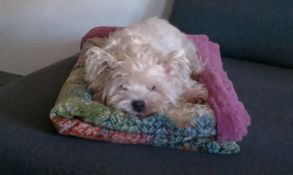 Image from Nelly