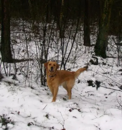 Andachtsbild von Ellen mit Lina ♥️