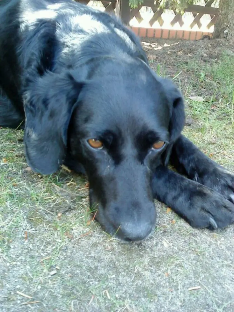Condolence image of Inge