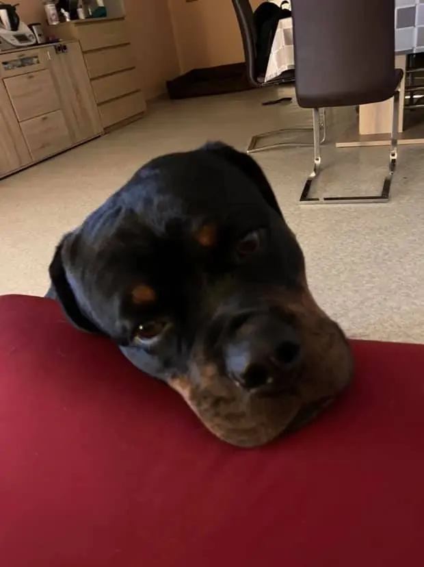 Andachtsbild von Susanne Scharpf