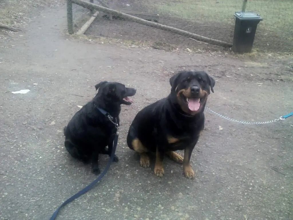 Andachtsbild von Saskia Končar