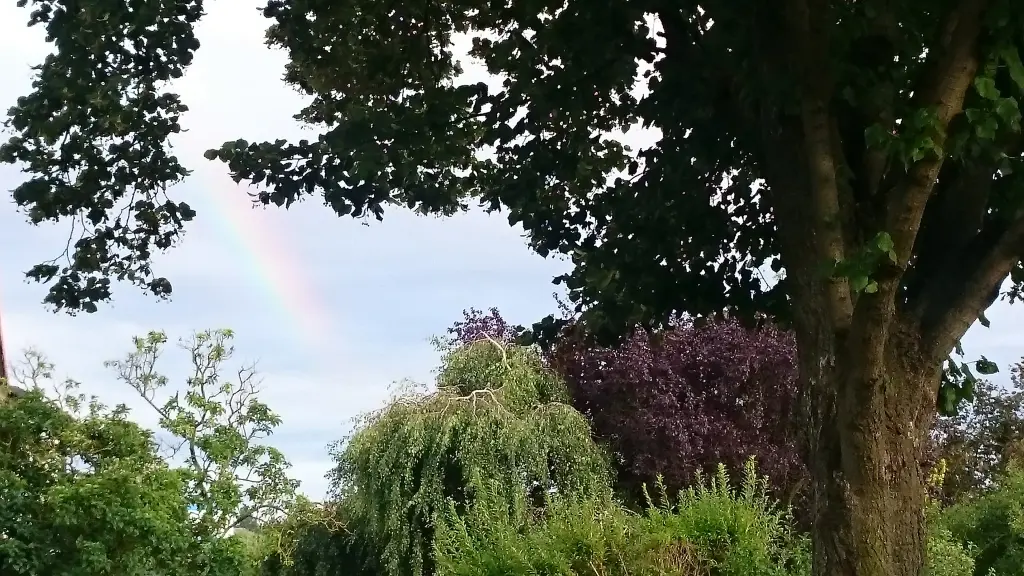 Andachtsbild von Unbekannt