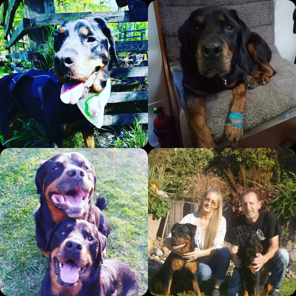 Andachtsbild von Julia 