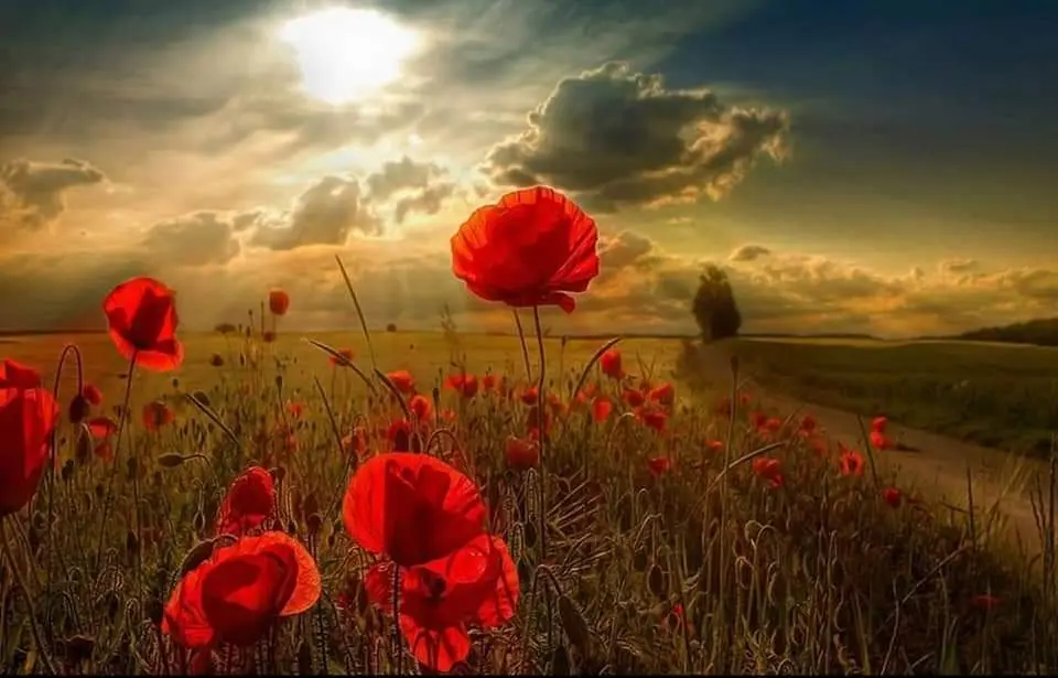 Andachtsbild von Claudia 