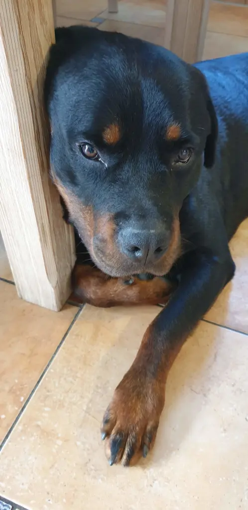 Andachtsbild von Karin