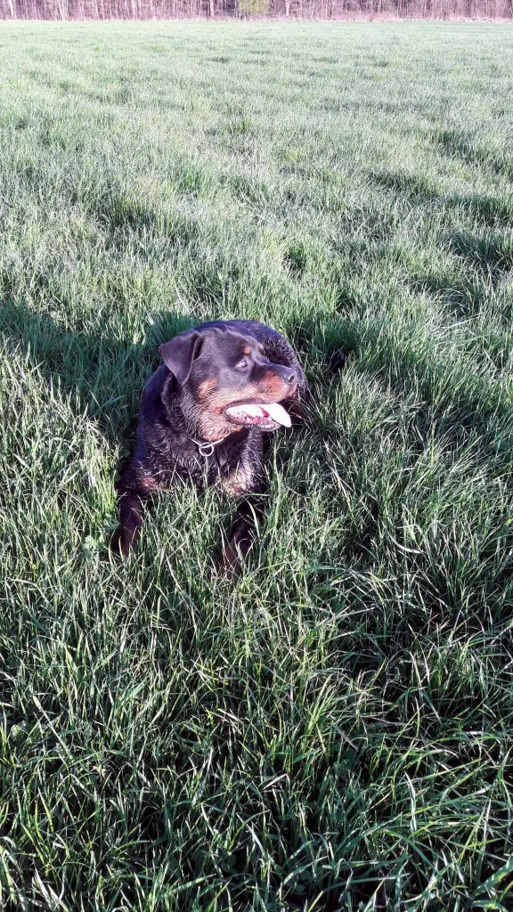 Andachtsbild von Beate Richter