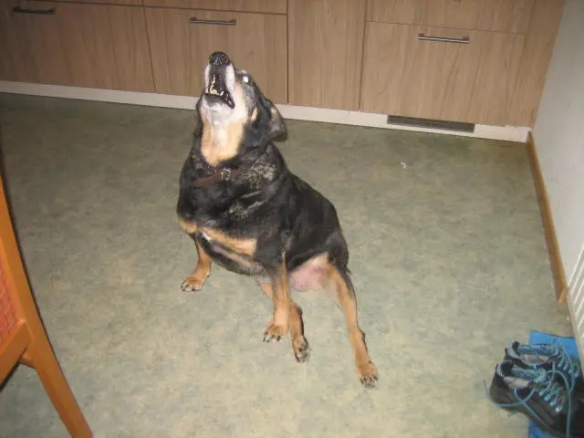 Andachtsbild von Michaela mit Sina im Herzen gest.24.09.19