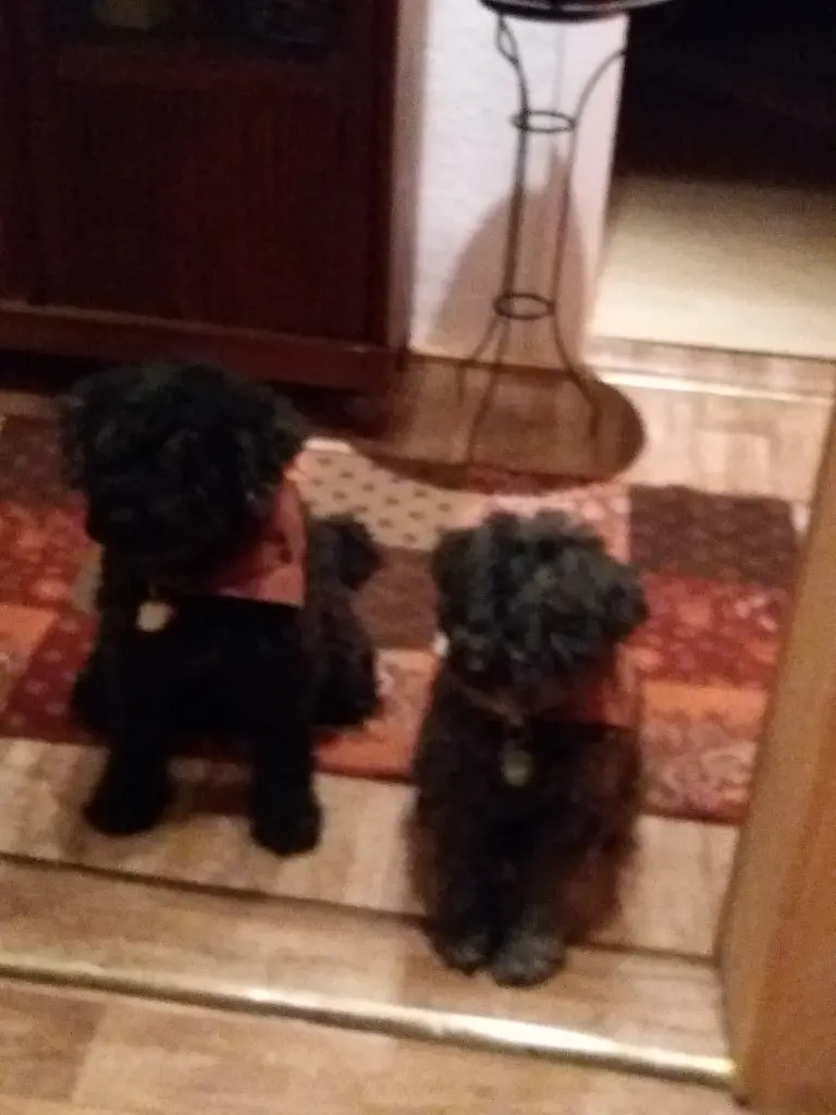 Image from Katie