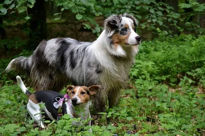 Condolence image of Silke mit Zoe