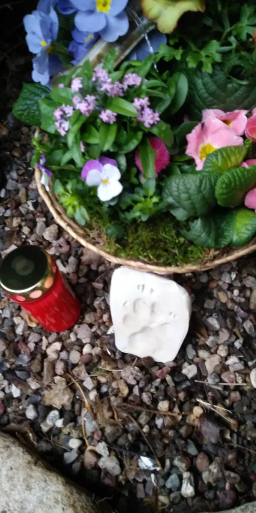 Condolence image of Ilka