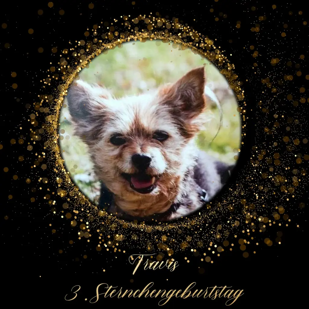 Condolence image of Travis 3. Sternchen-Geburtstag ⭐️⭐️⭐️