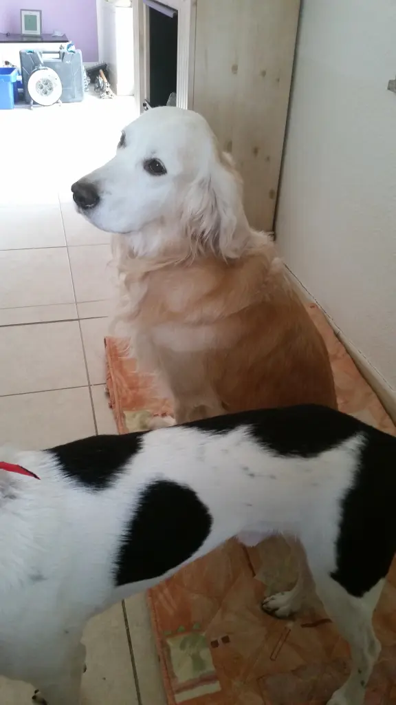 Condolence image of Deine Mama 