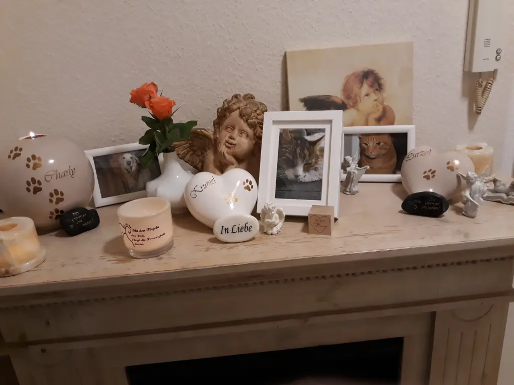 Condolence image of Deine Mama und Sally