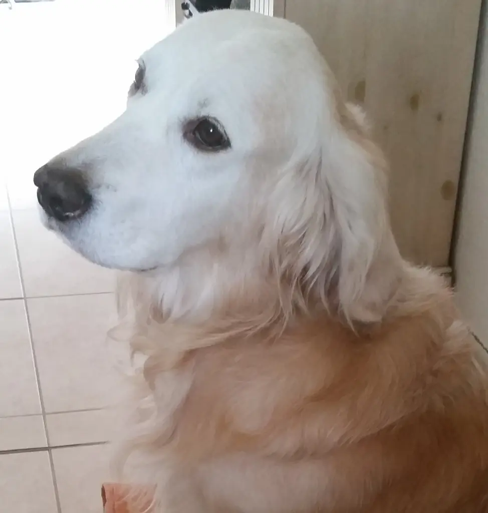 Condolence image of Deine Mama