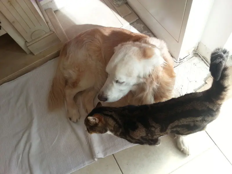 Condolence image of Deine Mama