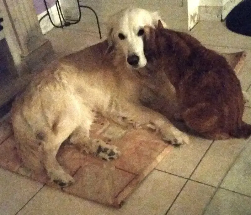Condolence image of Deine Familie