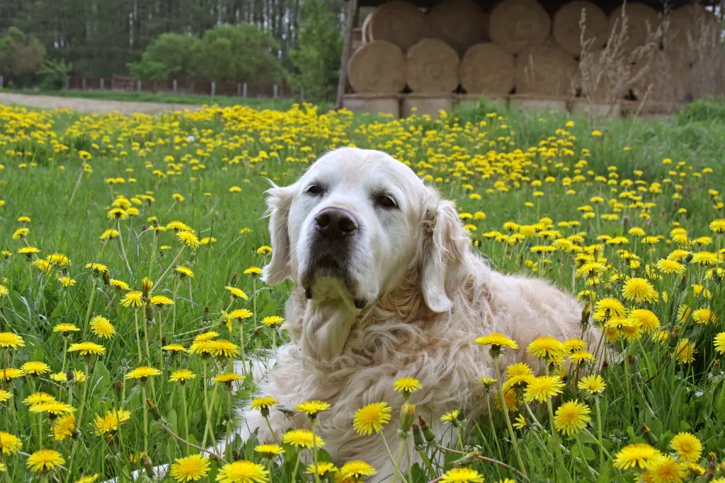 Condolence image of Peggy