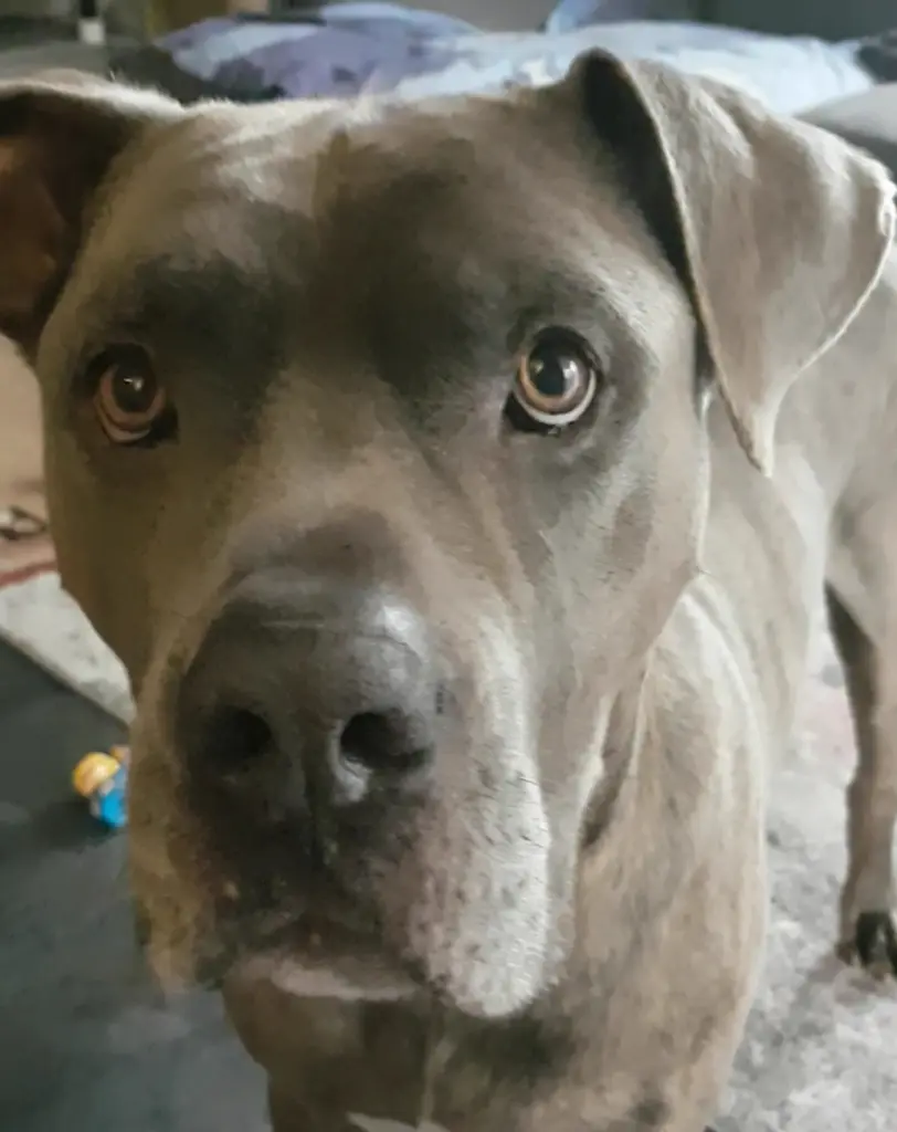Image from Zeus