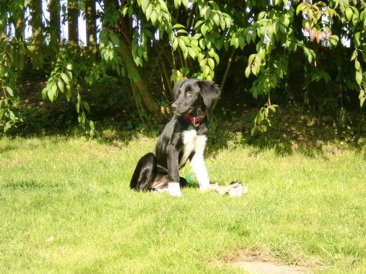 Image from Ella