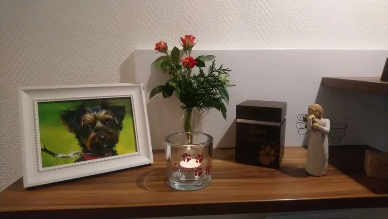 Condolence image of Marion