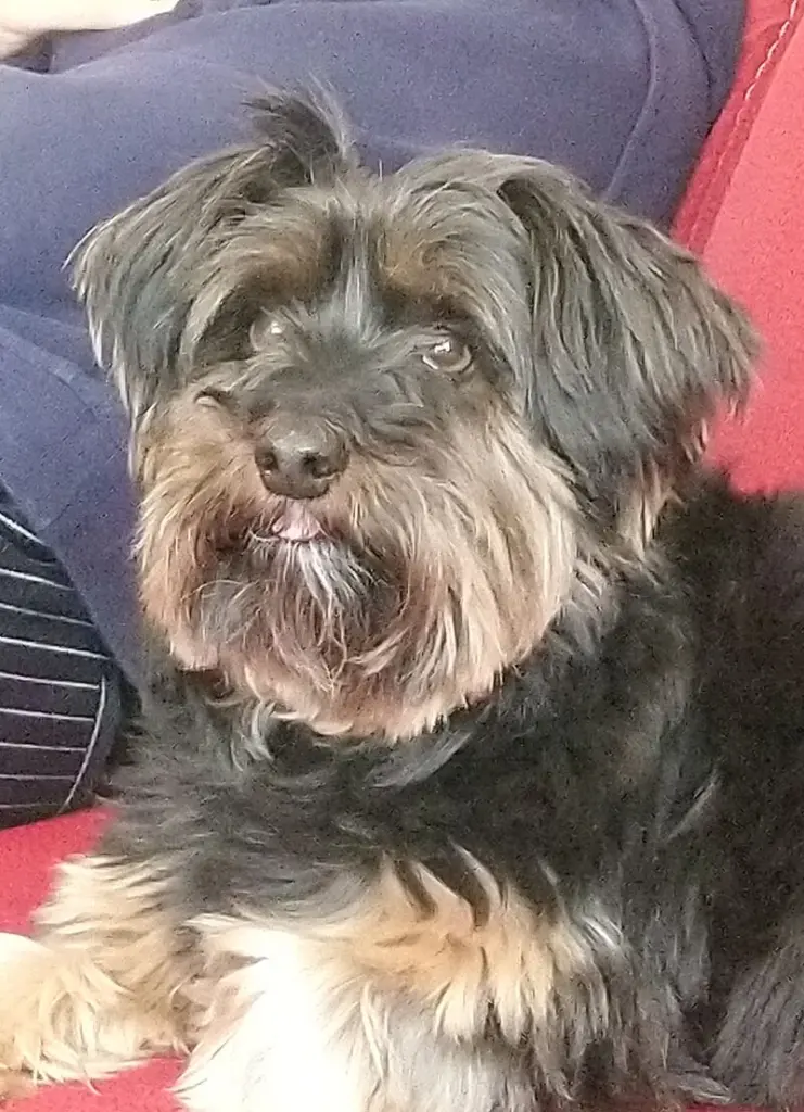 Condolence image of Marion