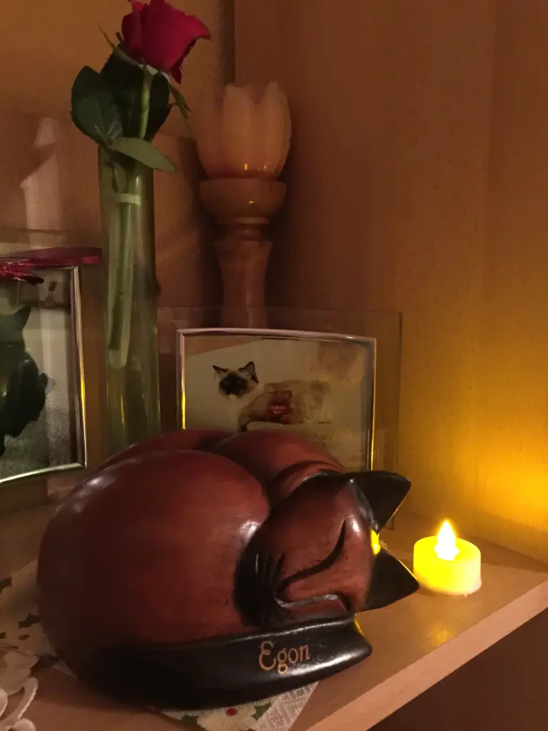 Image from Egon